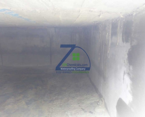 Water Tank Leakage Treatment at Scheme-33