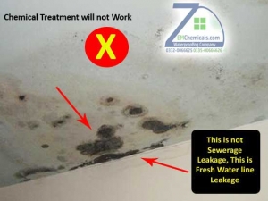 bathroom fresh water leakage