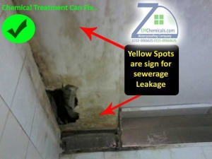 bathroom sewerage leakage treatment